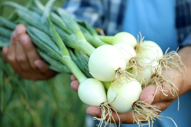 Photo of Man holding fresh green onions outdoors, closeup