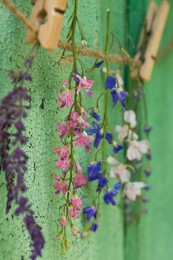 Beautiful flowers drying while hanging near cracked wall, closeup