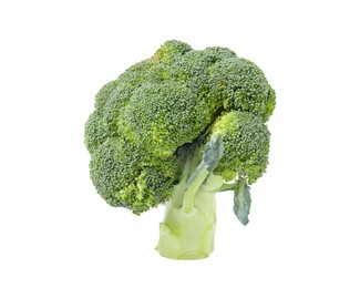 Photo of Fresh raw green broccoli isolated on white