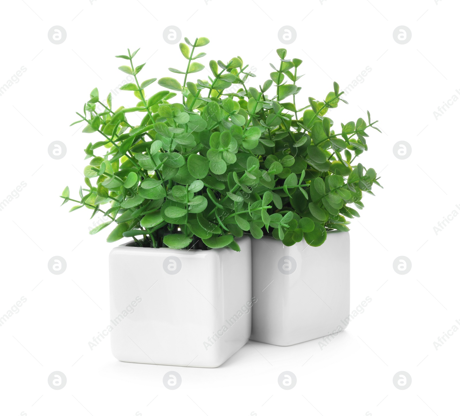 Photo of Beautiful artificial plants in flower pots isolated on white