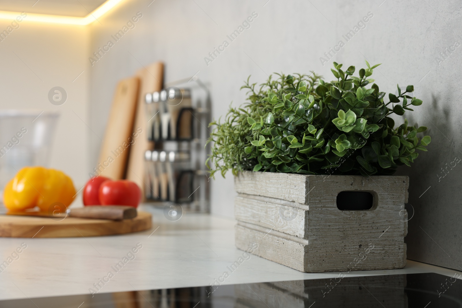 Photo of Potted artificial plant on white countertop in kitchen