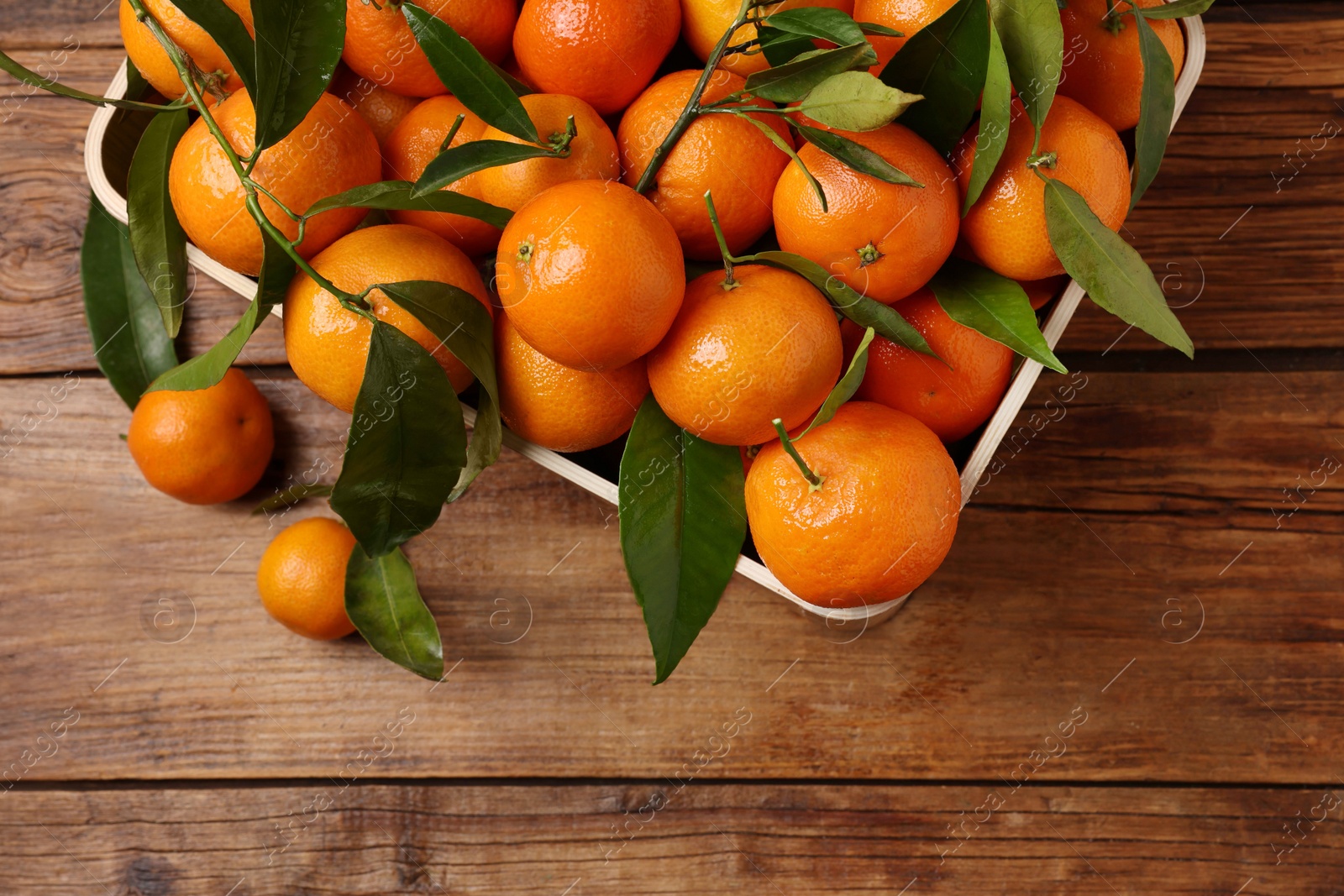 Photo of Fresh tangerines with green leaves in crate on wooden table, top view. Space for text