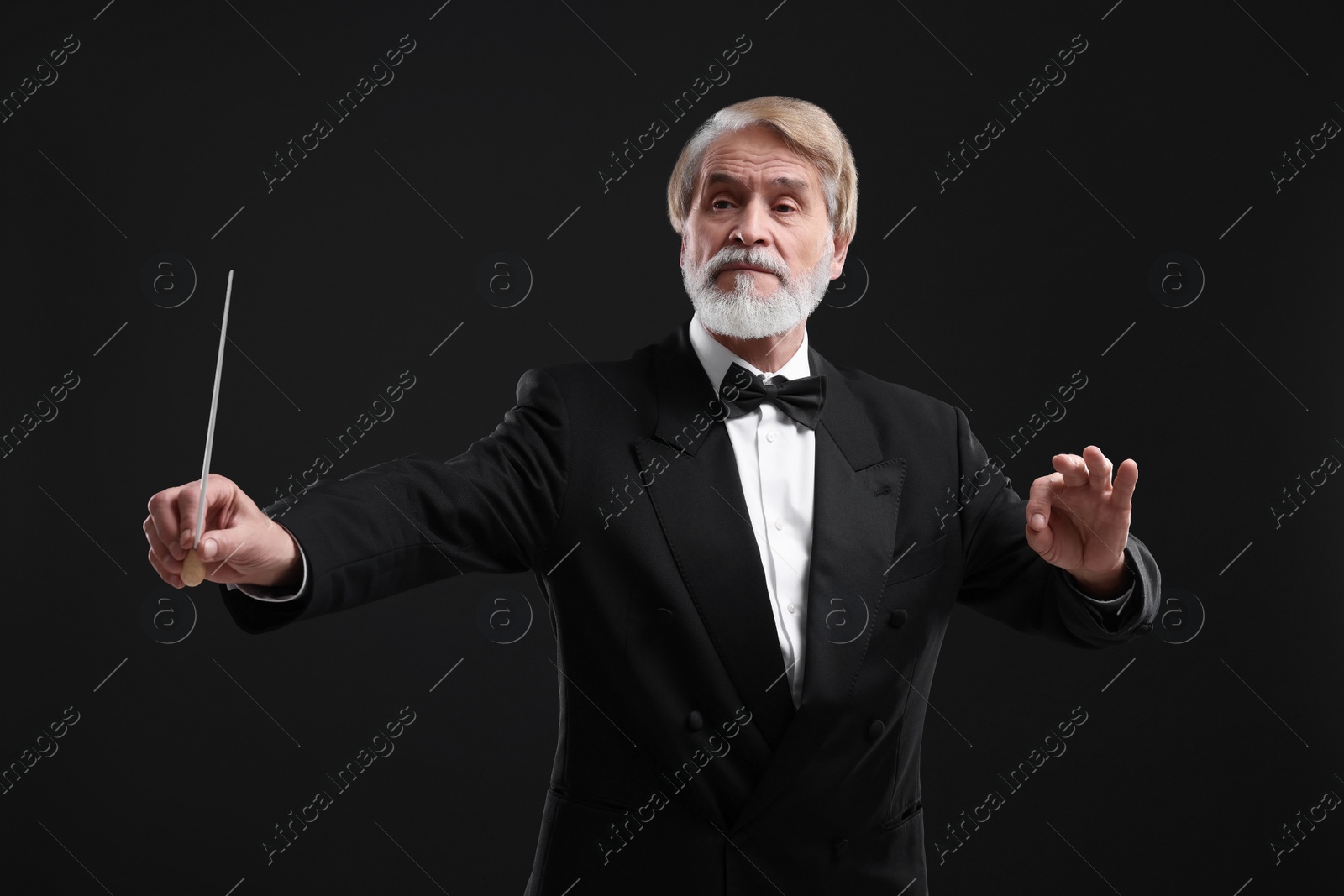 Photo of Professional conductor with baton on black background