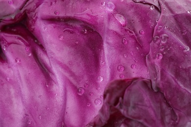 Ripe red cabbage as background, closeup view