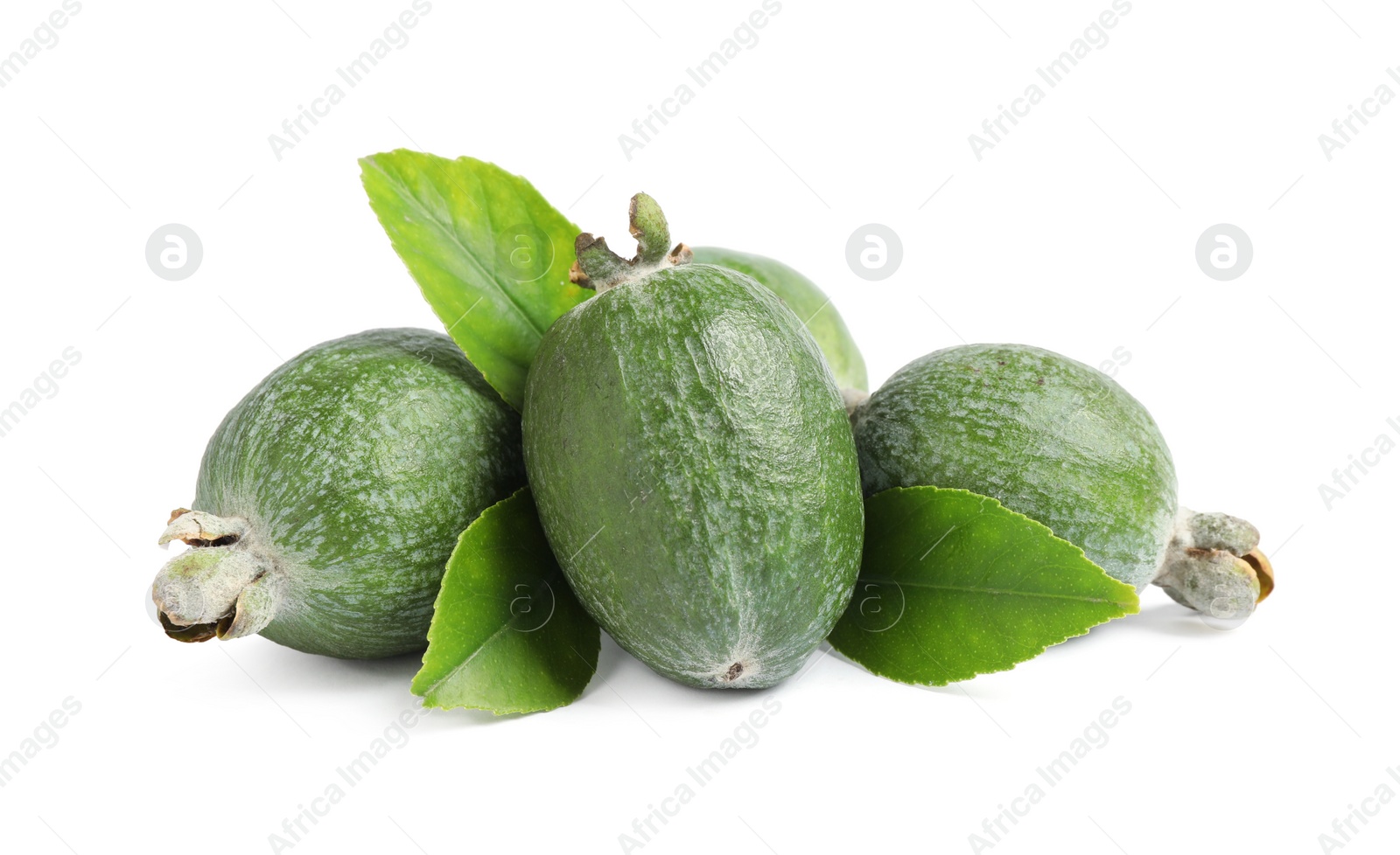 Photo of Pile of feijoas and leaves on white background