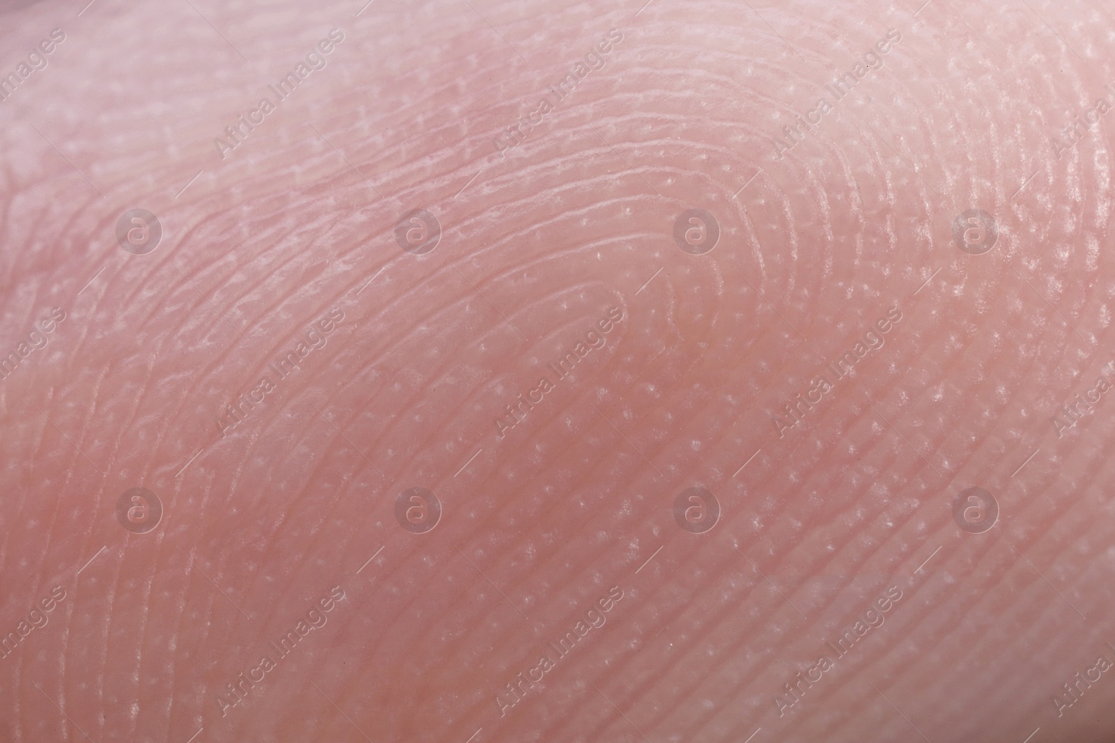 Photo of Friction ridges on finger as background, macro view