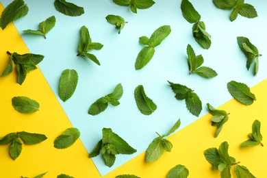 Fresh mint on color background, flat lay