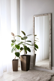 Photo of Large mirror and plants near window in light room