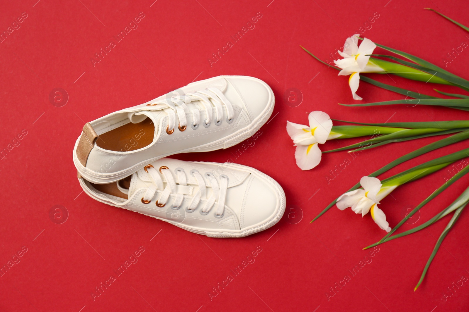 Photo of Comfortable casual female shoes and flowers on color background