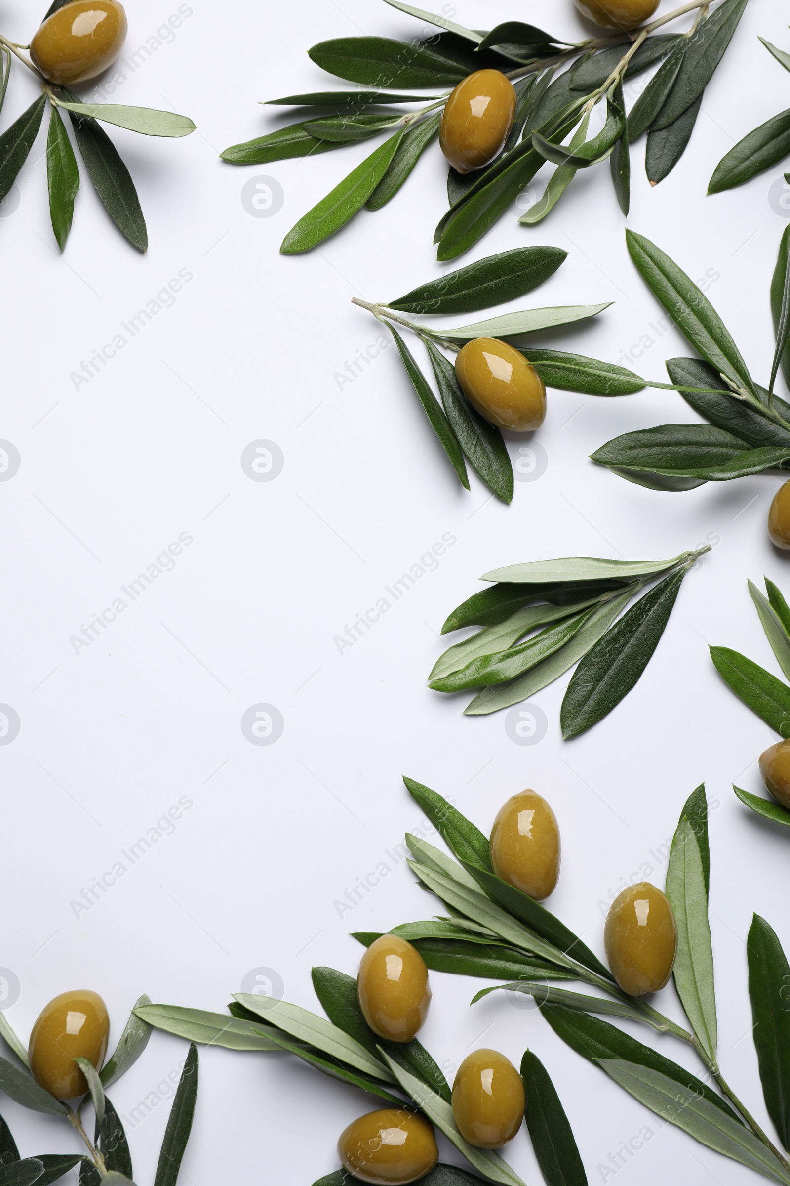 Photo of Twigs with olives and fresh green leaves on white background, flat lay. Space for text