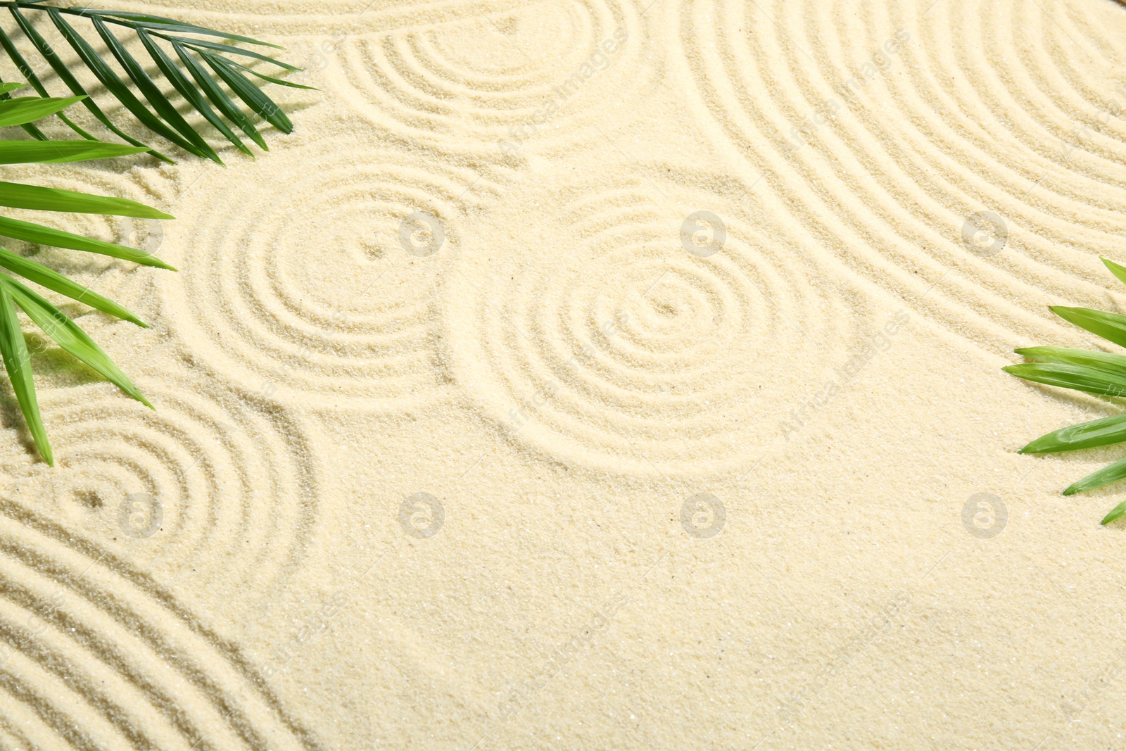 Photo of Zen rock garden. Circle patterns and green leaves on beige sand