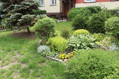 Photo of Beautiful flowerbed with different plants on city street. Gardening and landscaping