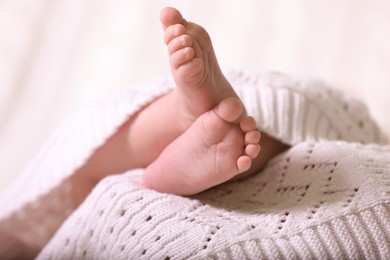 Cute newborn baby covered in white knitted plaid, closeup of legs. Space for text