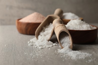 Different natural salt on grey textured table, closeup. Space for text