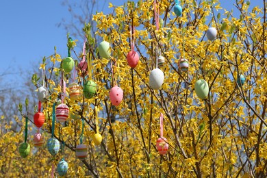 Beautifully painted Easter eggs hanging on tree outdoors