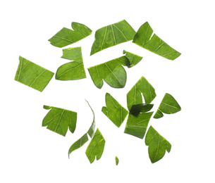 Photo of Cut fresh green parsley on white background