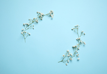 Beautiful floral composition with gypsophila flowers on light blue background, flat lay. Space for text