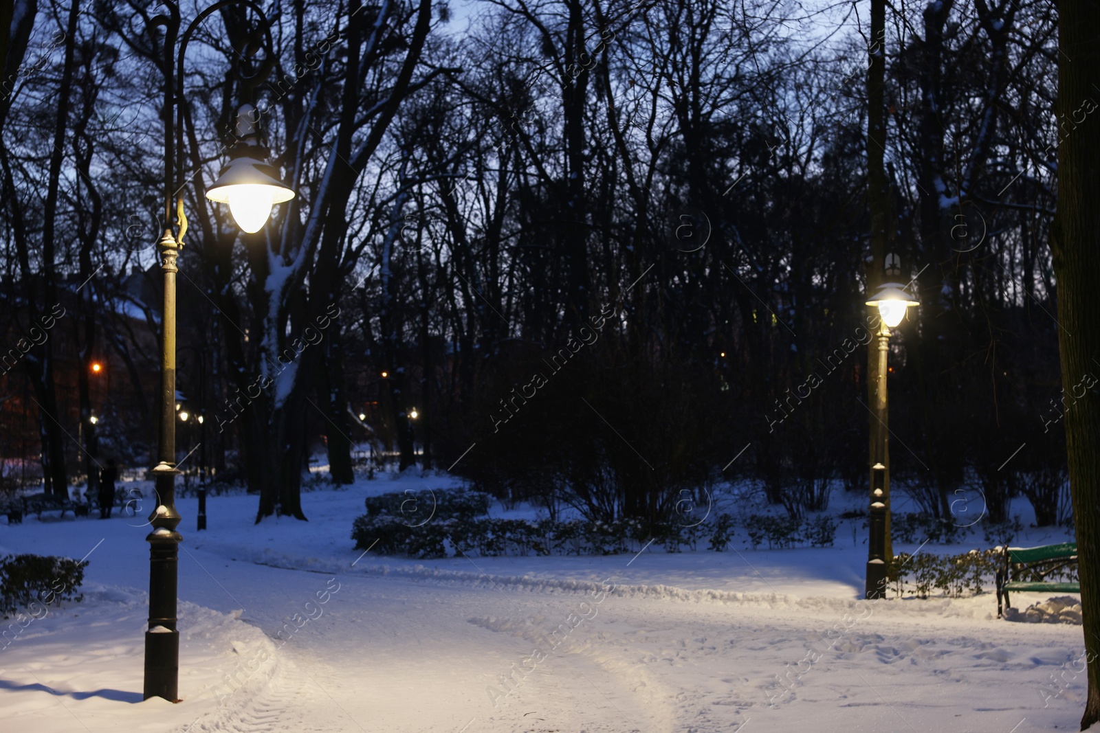 Photo of Trees, street lamps and pathway covered with snow in evening park