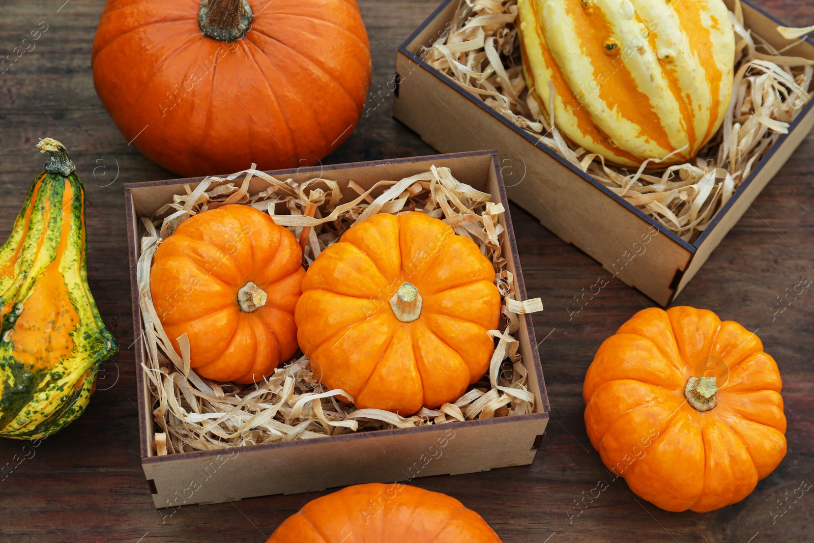 Photo of Crate and many different pumpkins on wooden table