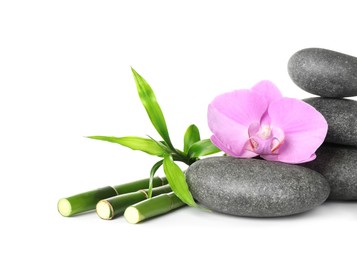 Photo of Spa stones, beautiful orchid flower and bamboo stems on white background