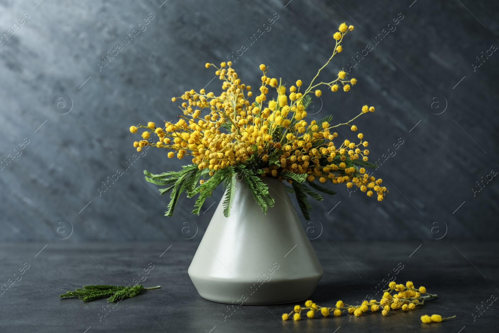 Photo of Bouquet of beautiful mimosa flowers on black background