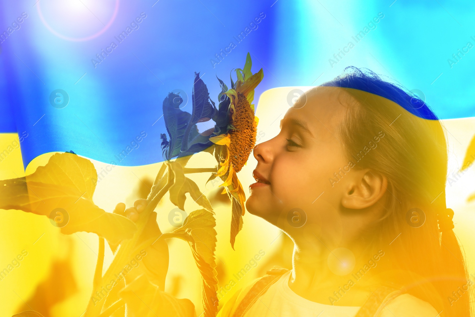 Image of Double exposure of cute little girl with sunflower and Ukrainian flag 