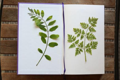 Book with dried green leaves on wooden table, top view