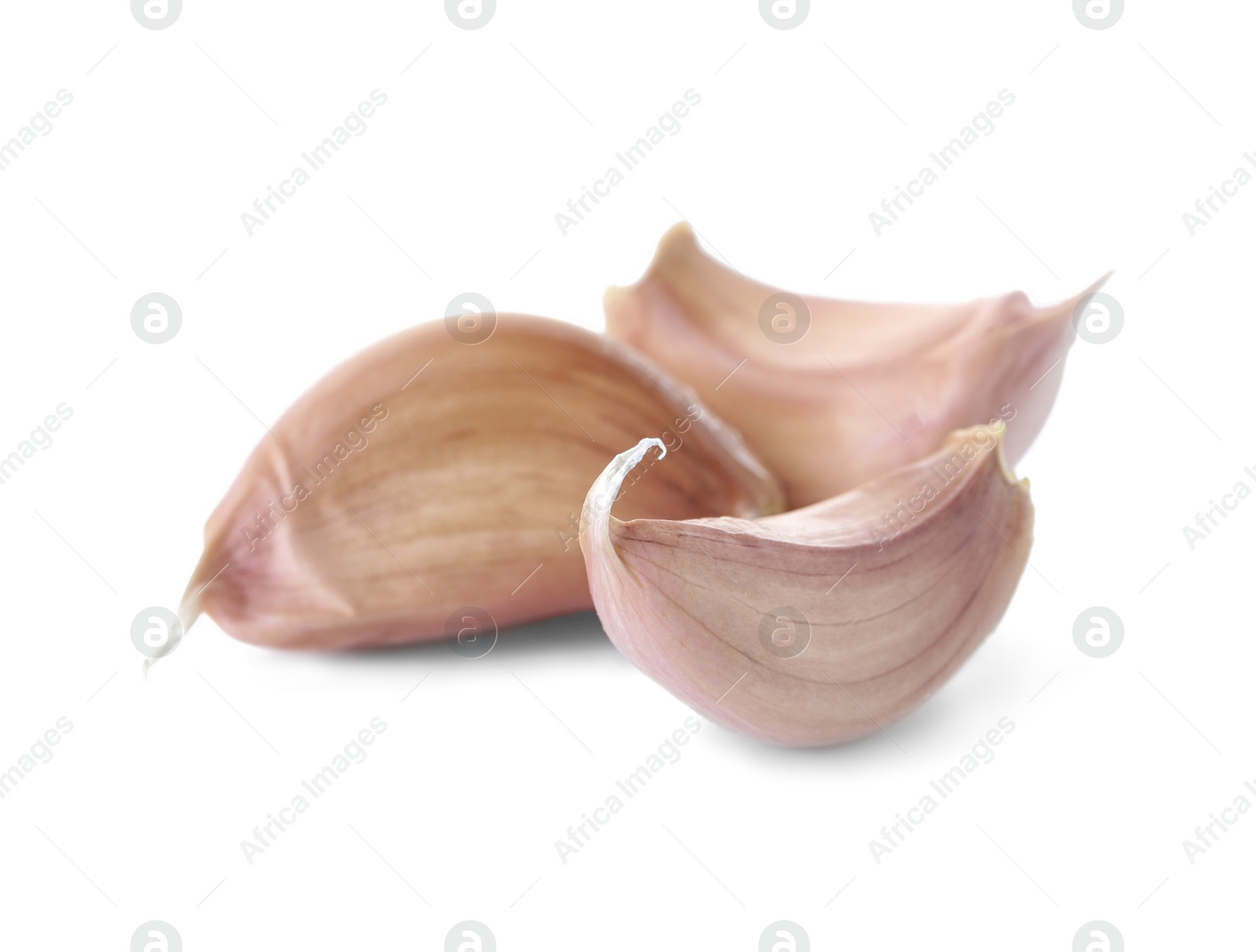 Photo of Ripe garlic cloves on white background. Organic product