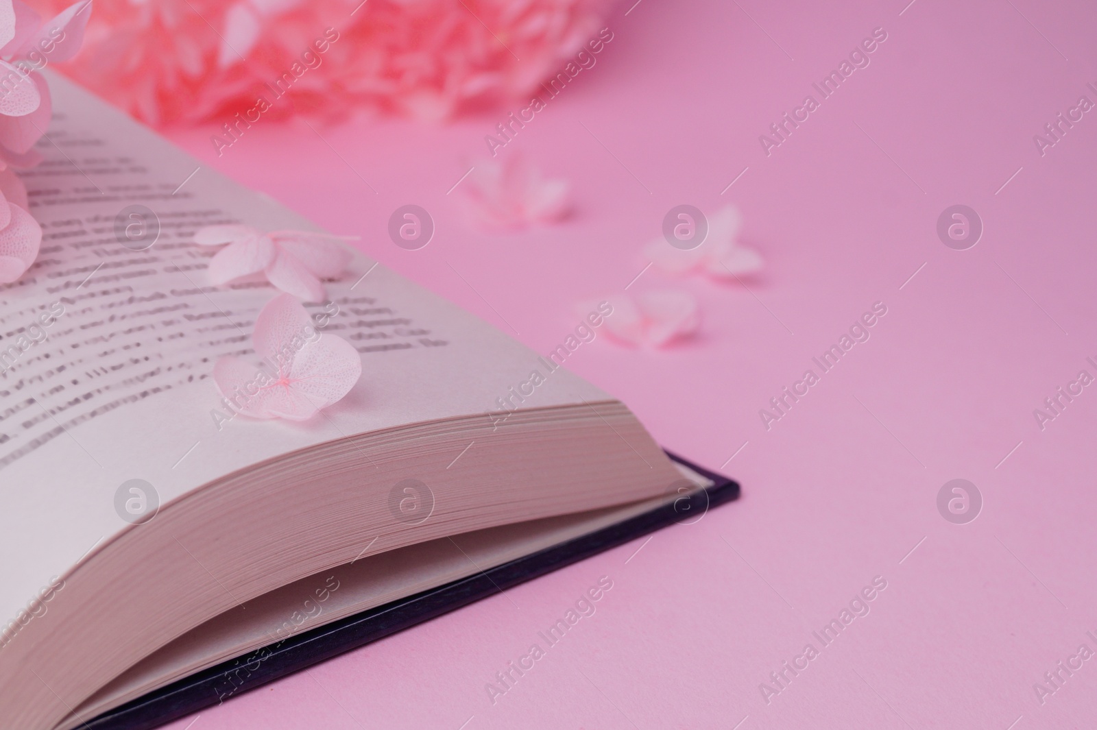 Photo of Beautiful hortensia flowers and book on pink background, closeup. Space for text