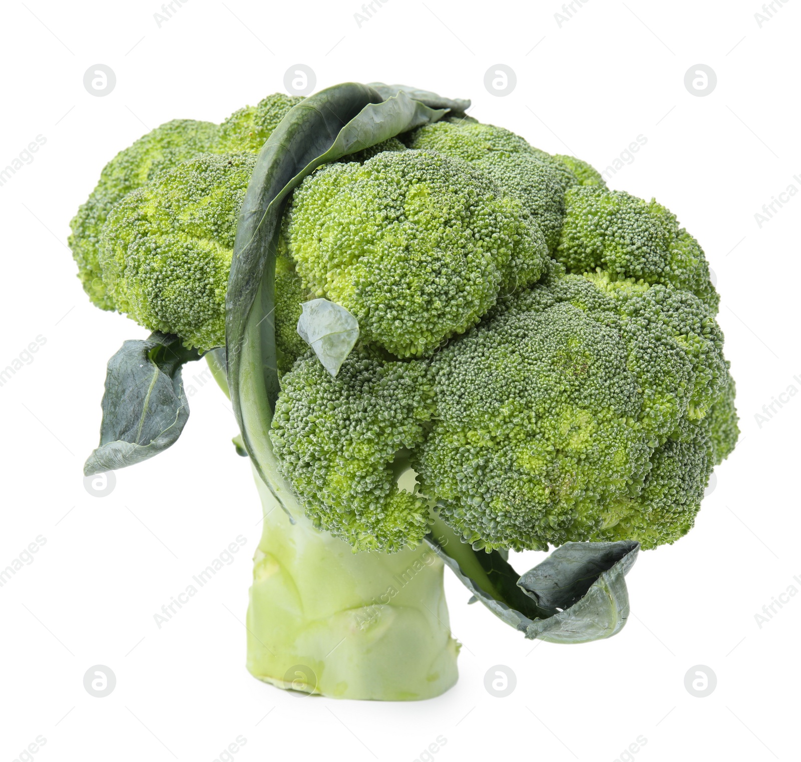 Photo of Fresh raw green broccoli isolated on white