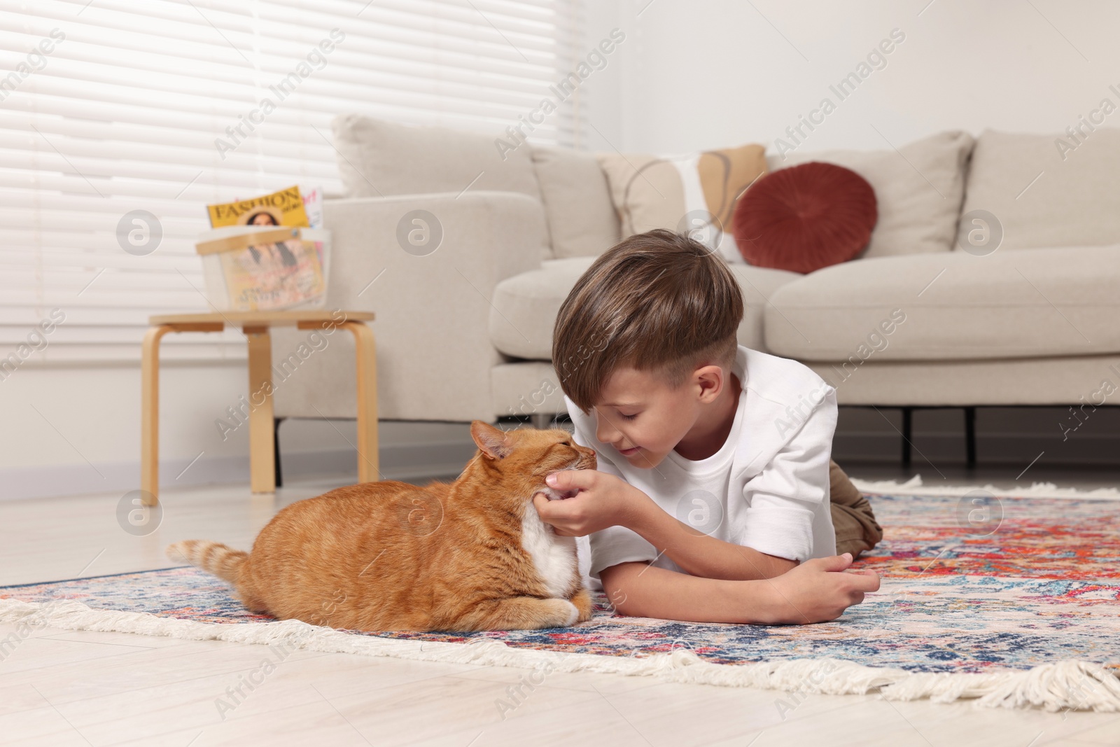 Photo of Little boy petting cute ginger cat on carpet at home