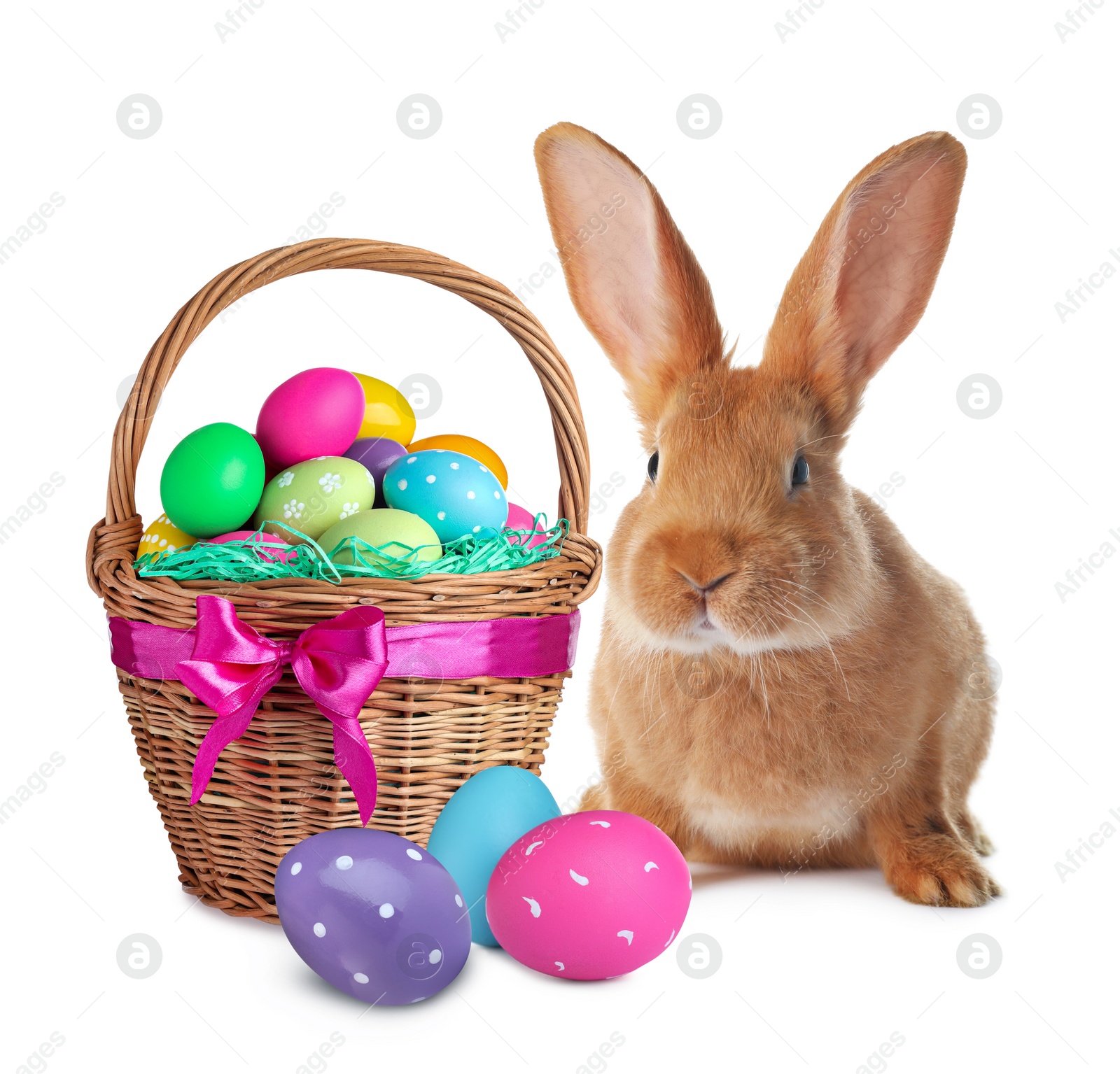 Image of Cute bunny and wicker basket with bright Easter eggs on white background