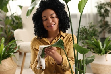 Photo of Happy woman wiping beautiful houseplant leaf indoors
