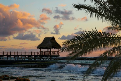 Ocean shore with palm tree and pier at picturesque sunset