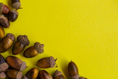Photo of Many acorns on yellow background, top view. Space for text