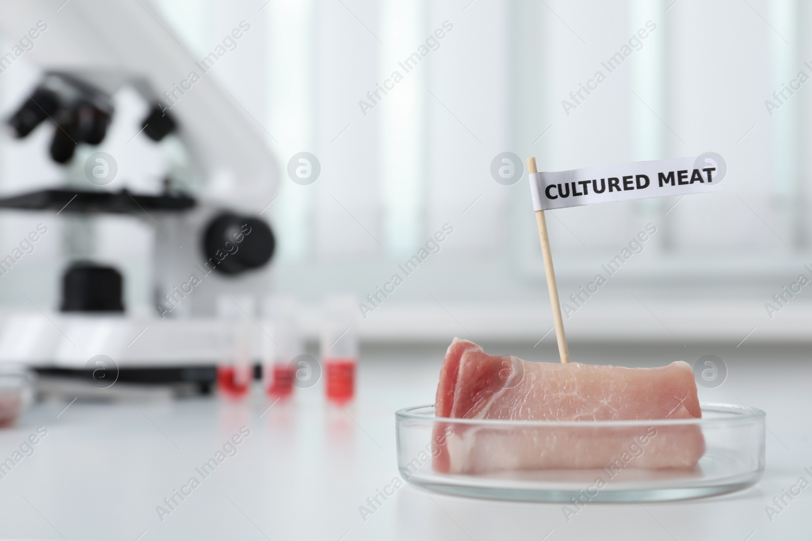 Photo of Petri dish with sample of lab grown pork labeled Cultured Meat on white table in laboratory. Space for text