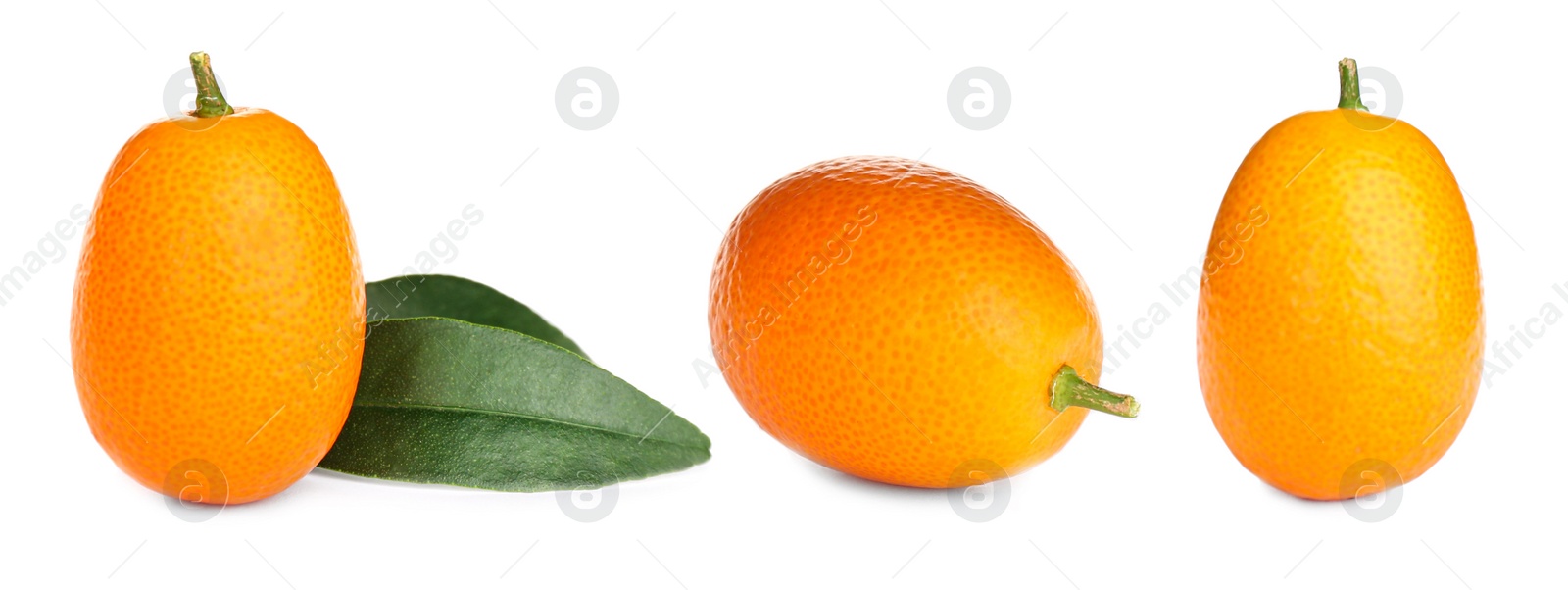 Image of Set with fresh ripe kumquat fruits on white background. Banner design