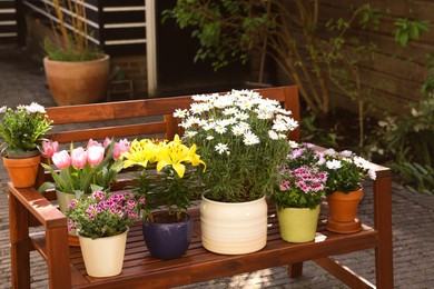 Many different beautiful blooming plants in flowerpots on wooden bench outdoors