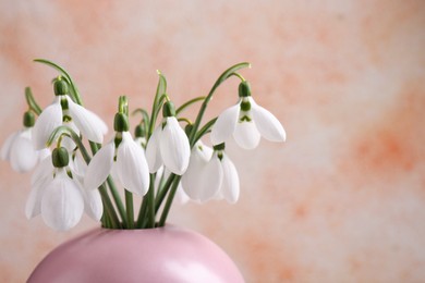 Photo of Beautiful snowdrops in vase on color background, closeup