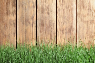 Photo of Fresh green grass near wooden fence. Space for text