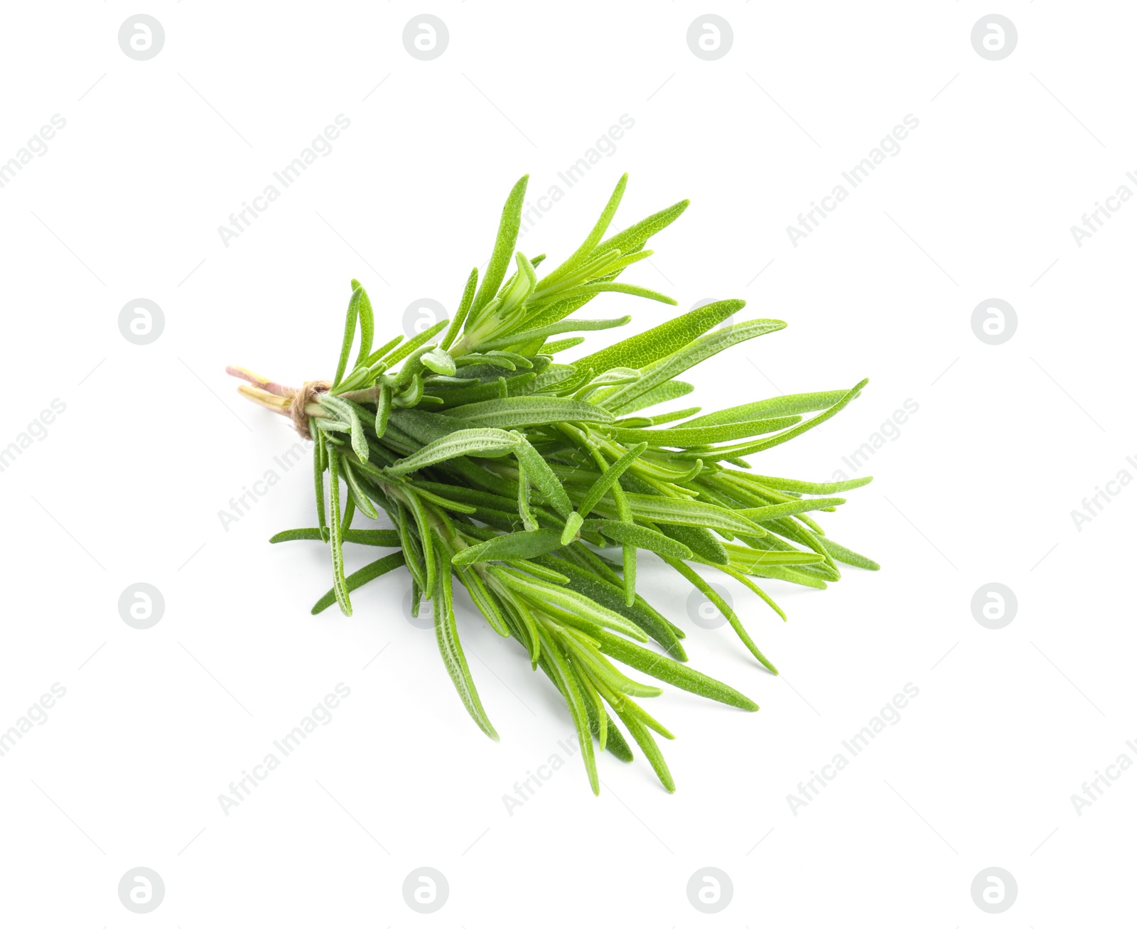 Photo of Bunch of aromatic fresh rosemary leaves on white background