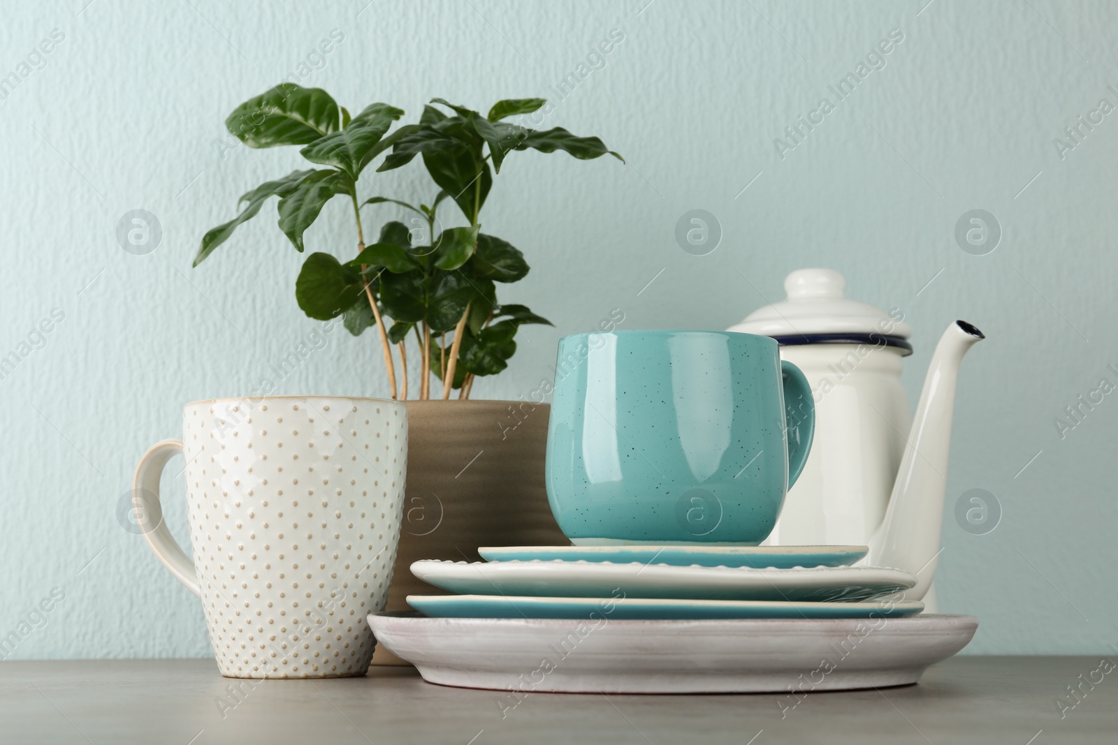 Photo of Potted plant and set of kitchenware on grey table near light wall. Modern interior design