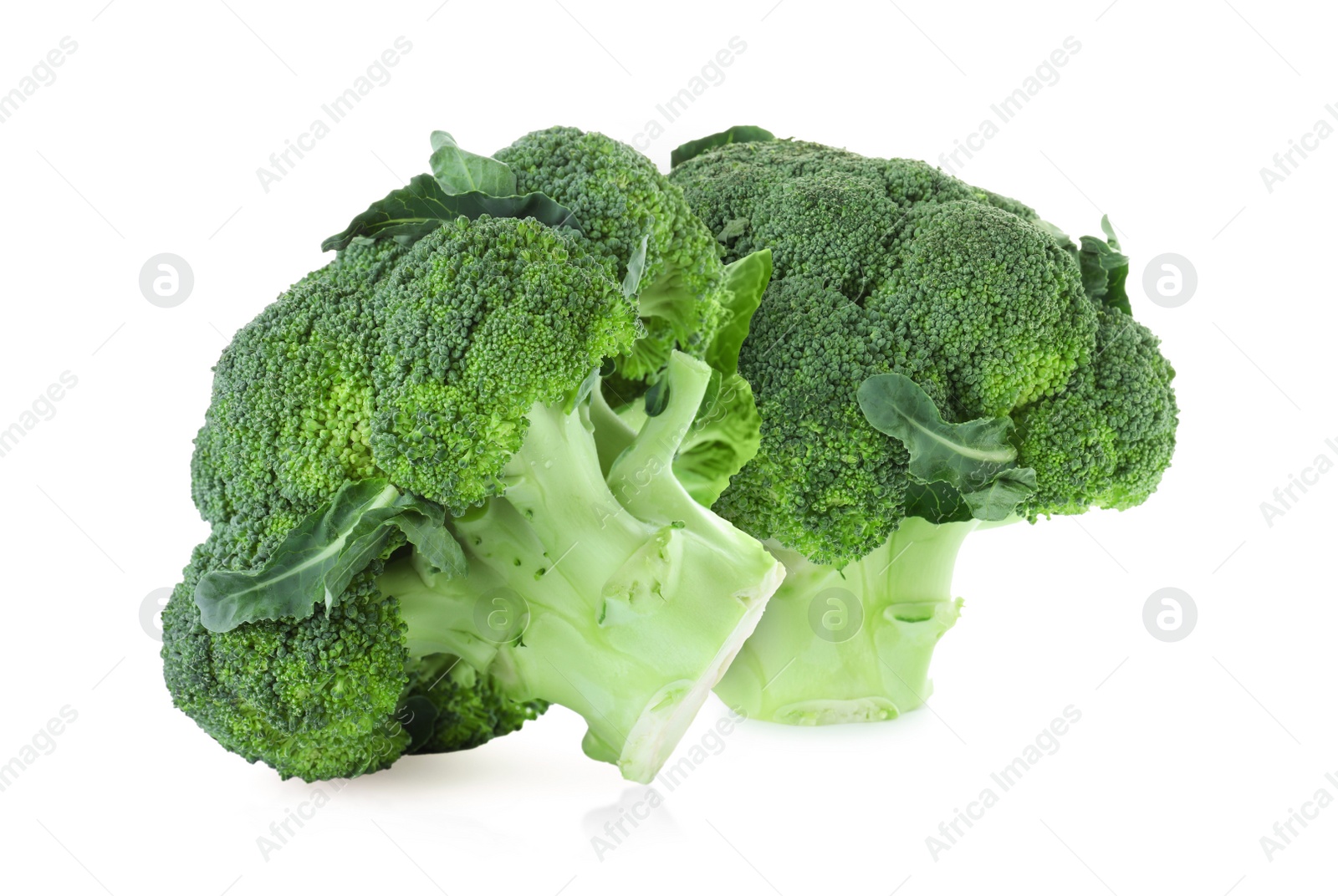 Image of Fresh green broccoli on white background. Edible plant