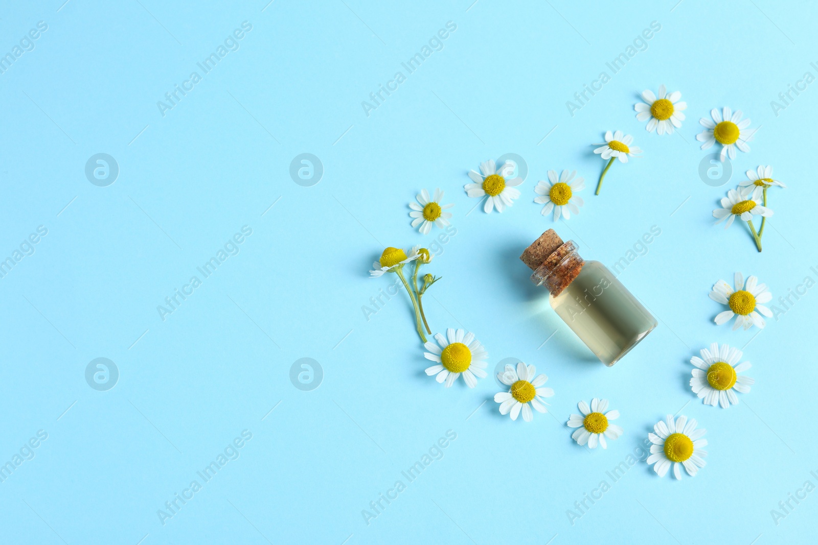 Photo of Flat lay composition with chamomile essential oil on light blue background. Space for text