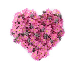 Photo of Heart made with beautiful Forget-me-not flowers isolated on white