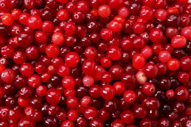 Photo of Fresh ripe cranberries as background, top view