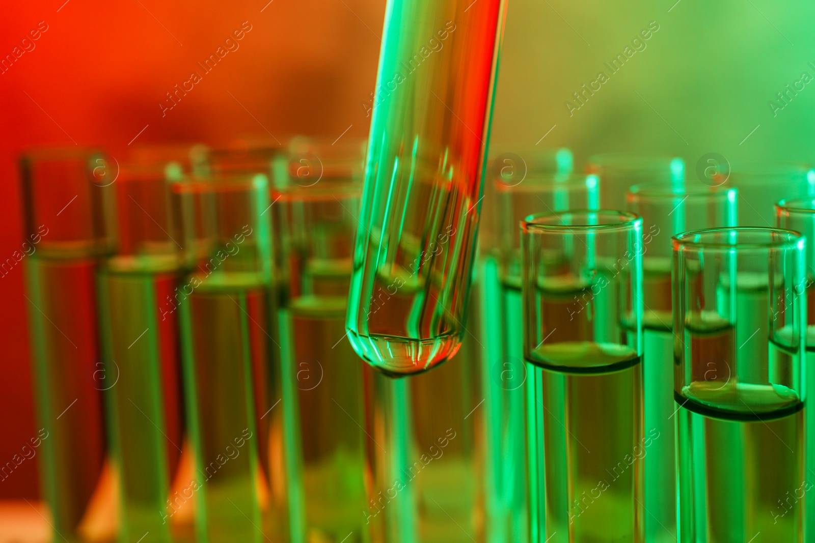 Photo of Taking test tube with liquid sample, closeup. Color tone effect