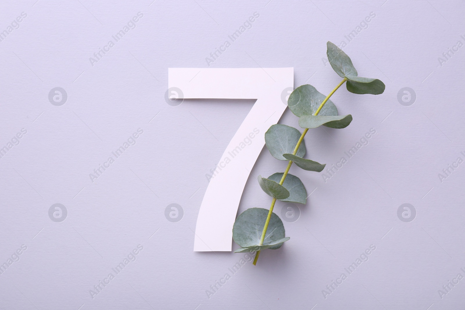 Photo of Paper number 7 and eucalyptus branch on light grey background, top view