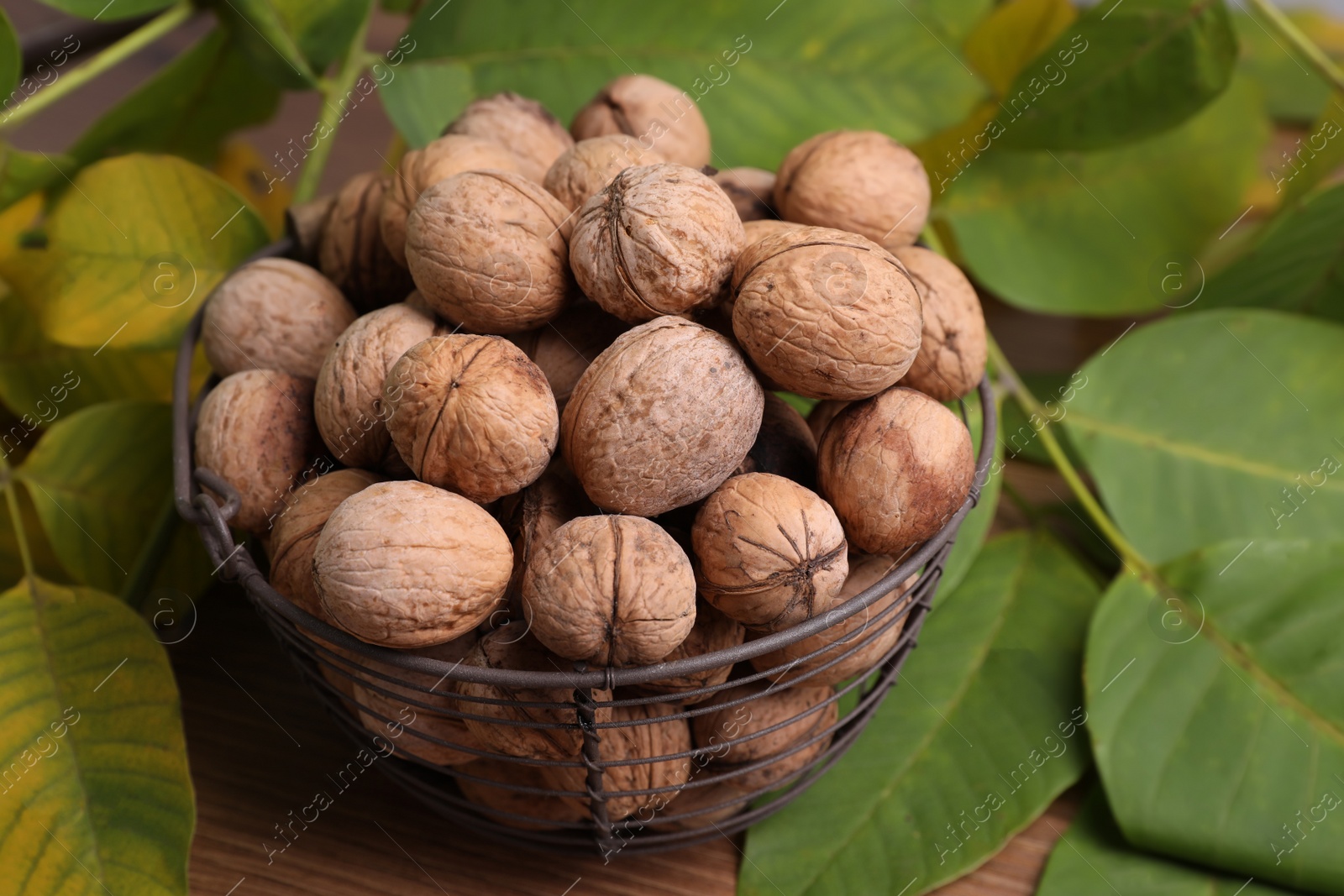 Photo of Walnuts in metal basket and fresh leaves on wooden table
