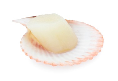 Photo of Fresh raw scallop in shell isolated on white